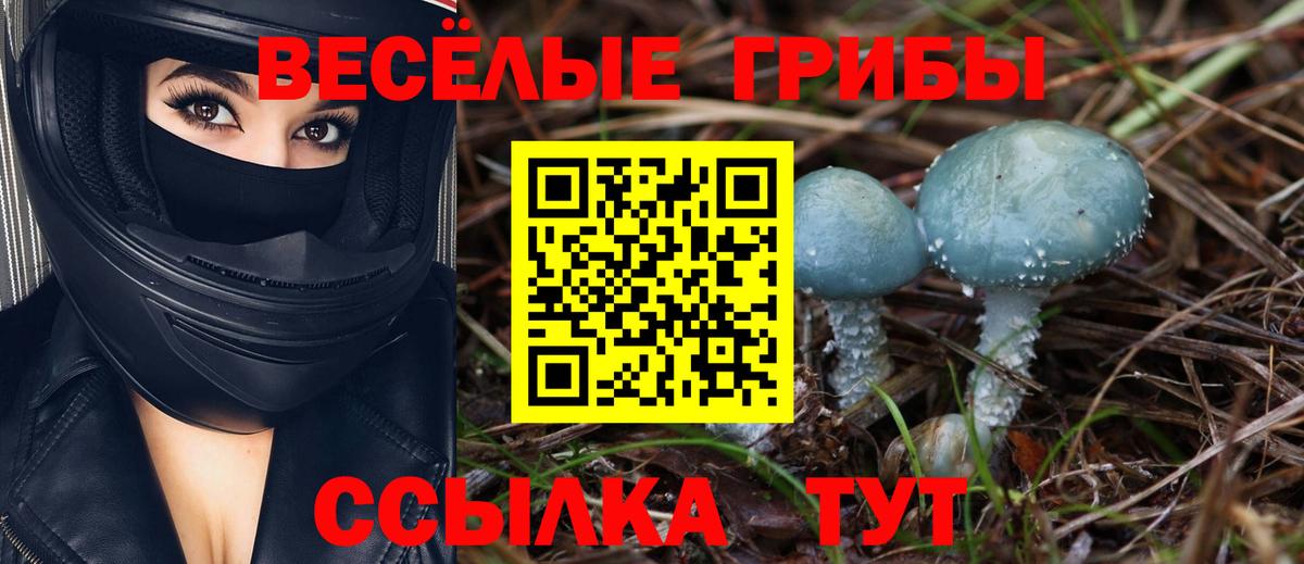 Псилоцибиновые грибы прущие грибы Махачкала