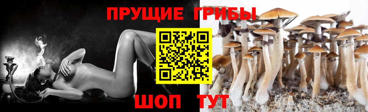 Галлюциногенные грибы Cubensis  купить   Махачкала  Вход с VPN 